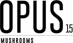 Opus Mushrooms logo
